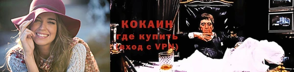 стафф Алзамай