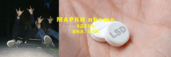 стафф Алзамай